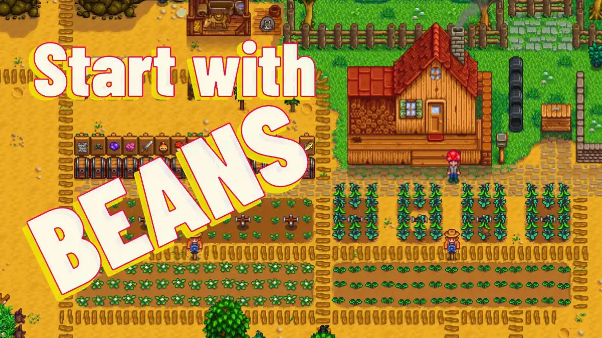 Header image for post Beans are a great way to start your Stardew Valley adventure