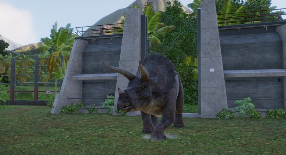 Release a Triceratops in their enclosure